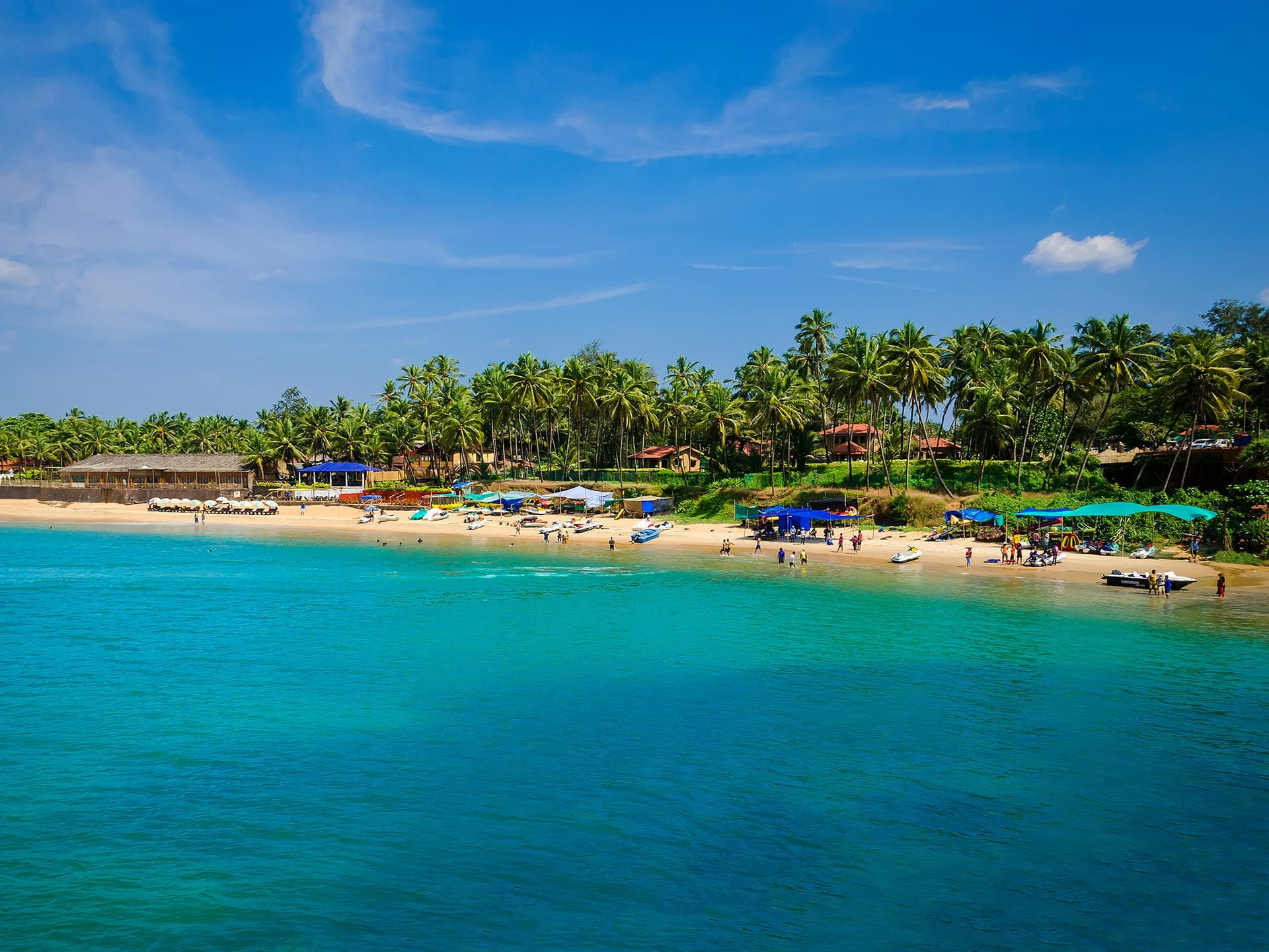Goa shoreline with turquoise water, a sandy beach, and coconut palms
